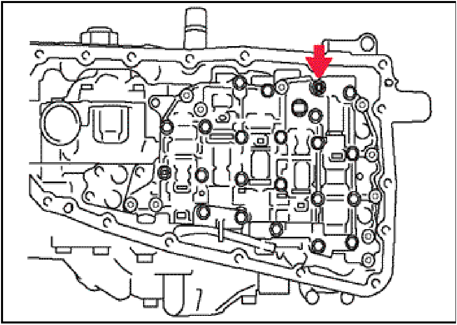 520065657_graphic-text281